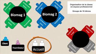 Les élèves en espace professionnel  Bac Pro AGORA exGA [upl. by Sup]