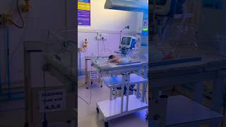 Neonatal Intensive Care Unit NICU  Special Newborn Care Unit sncu nicu nicubaby [upl. by Lewanna]