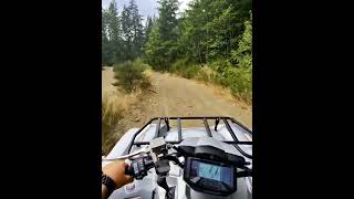 2024 Yamaha Grizzly 700 SE First Rip yamaha grizzly700 atv quad [upl. by Cherida]