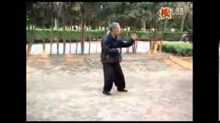 Gao style Bagua 64 linear palms [upl. by Denise]