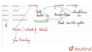 The process through which air in tracheoles and dissolved gases I blood are exchanged is [upl. by Janeen]