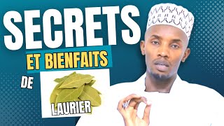 Secrets et bienfaits de Laurier [upl. by Ahearn734]