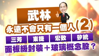 武林永遠不會只有一個人2 三芳、東捷、宏致、矽統 面板級封裝玻璃概念股｜20241021｜徐照興 分析師｜新台股龍捲風 [upl. by Polky]