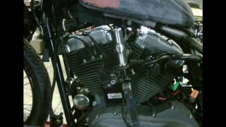 2008 Harley Davidson Nightster 1 of 3 [upl. by Milburt304]