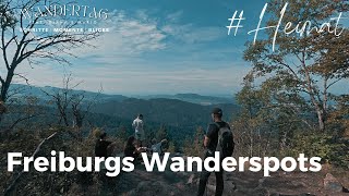 Wanderspots Von Freiburg über den Waldsee zum Kybfelsen  u ein Foto mit Christian Streich [upl. by Samuella554]