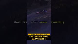 Eve Gidince Buna Bakacağım [upl. by Christian821]