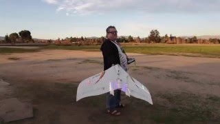 RC Delta Flying Wing Ducted Fan Airplane [upl. by Callean]