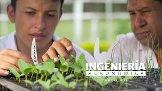 Ingeniería Agronómica UNPalmira [upl. by Ynwat]