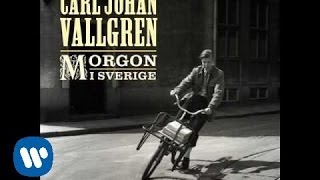 CARL JOHAN VALLGREN quotMorgon i Sverigequot ny singel 7 Juni [upl. by Haseena]