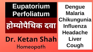 Eupatorium perfoliatum  Fever  Dengue Malaria  Homeopathic Medicine  DrKetan Shah  Hindi [upl. by Heriberto]