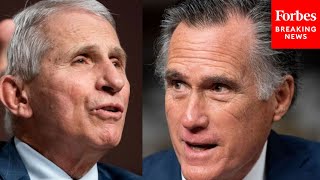 What Does It Mean To Be Exposed Romney Asks Fauci About Omicron [upl. by Mitman]