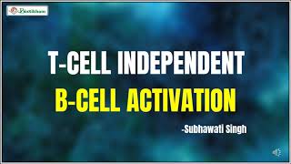 Tcell Independent Bcell Activation [upl. by Desimone364]