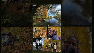 පත්තර බෙදලා එන ගමන්🙃 autumn photoshoot örebro sweden [upl. by Adams]