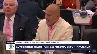 Por qué PRIVATIZAR AEROLINEAS Argentinas Martín Simonetta en Cámara de Diputados [upl. by Hannala923]