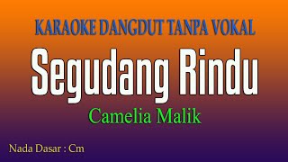 SEGUDANG RINDU Camelia Malik  Karaoke Tanpa Vokal [upl. by Idell163]