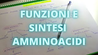 Sintesi e funzioni Amminoacidi [upl. by Kenton]