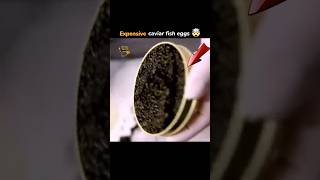 Most Expensive Fish eggs Caviar  Price in 96 lakh rupeestrending shorts [upl. by Orferd808]