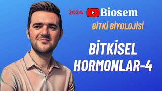 Bitki Biyolojisi  Bitkisel Hormonlar4 Konu Anlatımı 12 Sınıf Biyoloji [upl. by Lytsirk]