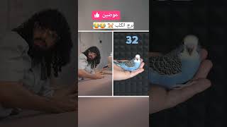 عوضين  shorts trending youtubeshorts shortvideo trendingshorts youtube short youtuber [upl. by Elletsyrc]