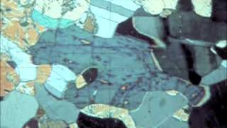 Optical Mineralogy hornblende inclined extinction plagioclase [upl. by Anissa864]