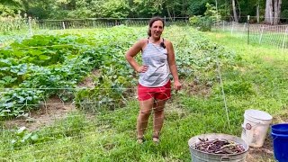 It’s A Lot of Work But It’ll Be Good This Winter  Homestead Vlog  July 31 2024 [upl. by Pylle]