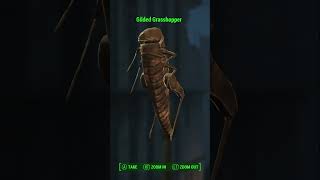 The Gilded Grasshopper has to be the most random quest item in Fallout fallout4 [upl. by Ishmul211]