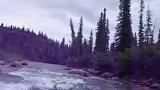 Windy Creek and Jack River Packrafting [upl. by Eidnac68]