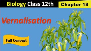 Vernalisation in plants  Fsc 2nd year biology  Kins academy [upl. by Ennaoj]