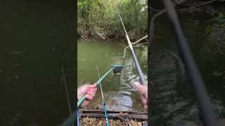 Fish catching with fishing rod reel fishing [upl. by Feledy]