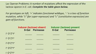 BIOL183 Solving Lac operon problems [upl. by Dud]