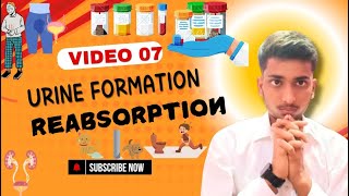 Reabsorption and counter current mechanism  Urine formation [upl. by Nyrehtak]