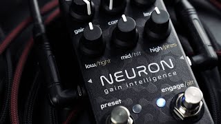 Neunaber Neuron Gain Intelligence  Bass Demo [upl. by Dimmick]