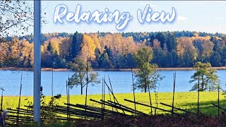 Calm amp Relaxing Music  Make You Sleep Fast [upl. by Varick936]