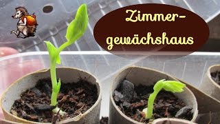 Zimmergewächshaus selber bauen│Upcycling│Vorziehen auf der Fensterbank [upl. by Richards]