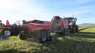 5000 Bales Baled amp Hauled [upl. by Gasparo544]