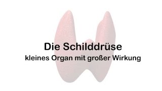 Die Schilddrüse – kleines Organ mit großer Wirkung [upl. by Edd]