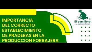 IMPORTANCIA DEL CORRECTO ESTABLECIMIENTO DE PRADERAS EN LA PRODUCCION FORRAJERA🌱🌳🤠🌟🔥 [upl. by Festatus]