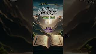 Surah alaa  bueatifull tilawat  shorts quran viralshorts viral [upl. by Rosalba]