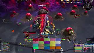 CK vs Broodtwister Ovinax Mythic  Holy Paladin PoV [upl. by Atelahs962]