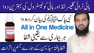 Holly Homeopathic Medicine  Triglycerides Kaise Kam Kare in Hindi  Cholesterol Ka ilaj [upl. by Bellamy600]