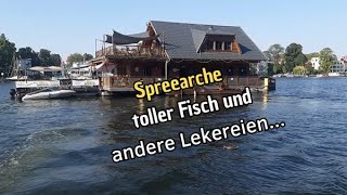 Spreearche toller Fisch und andere Leckereien  Verlosung [upl. by Burdett]