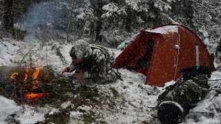 2 DAY Solo Winter Camping in Blizzard Snow Survival in Snow Forest SubZero Extreme Windstorm [upl. by Aikyn220]