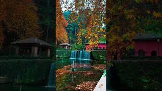 This is one of the Mughal gardens in kashmir love nature kashmir [upl. by Bohaty]