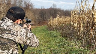 Deer Hunting a CORNFIELD West Virginia Rifle Season [upl. by Ursas]