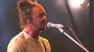 Soja  Live at Encontros das Tribos São Paulo Brasil 2022 Full Concert [upl. by Jehial595]