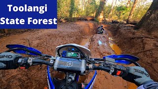 DIRT BIKE  Toolangi State Forest Me vs Hills WR450f [upl. by Floeter]