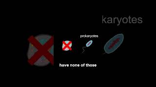 Eukaryotes vs Prokaryotes Whats the Differ follow like medo facts biology [upl. by Bolan]