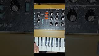 40 Famous Sounds  Minimoog Model D  Reissue vs Original  No FX [upl. by Ahsilram]