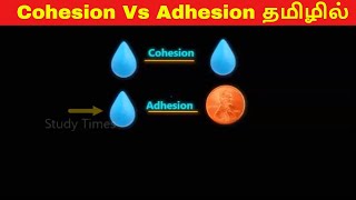 Cohesion and Adhesion in Tamil  Drops of water on a penny experiment in Tamil [upl. by Noel]