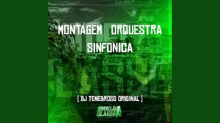 Montagem Orquestra Sinfonica [upl. by Worrell]